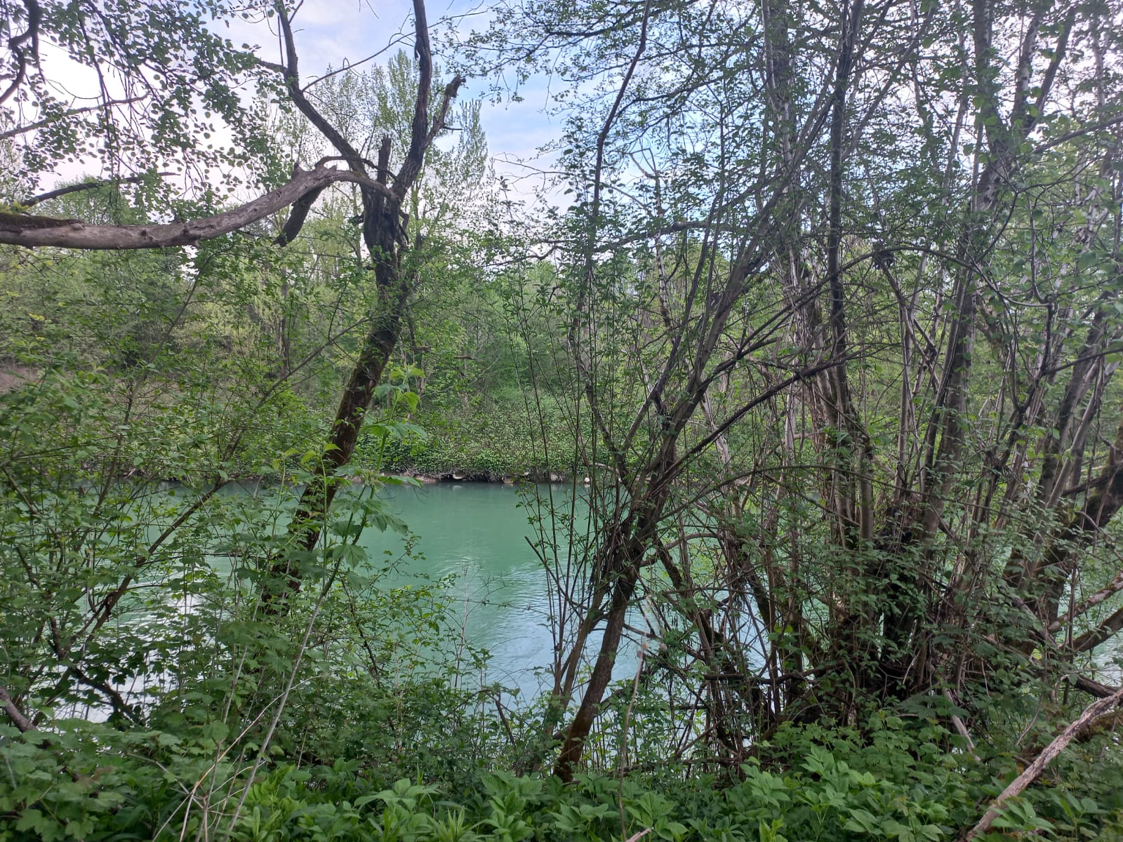River Sava in Sneberje Ljubljana 23-4-2025